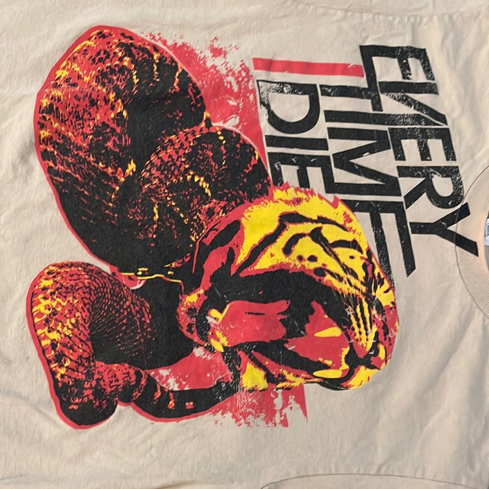 Y2K every time I die band tee cobra tiger
